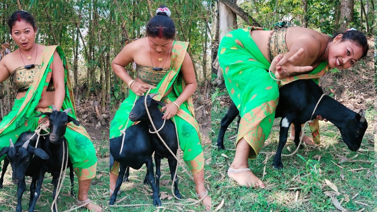 आज ghode तारा सवारी कराया 😄😄 || goat riding fastest | goat riding girl | सोचा नहीं GoAt भी इतना tez🤭