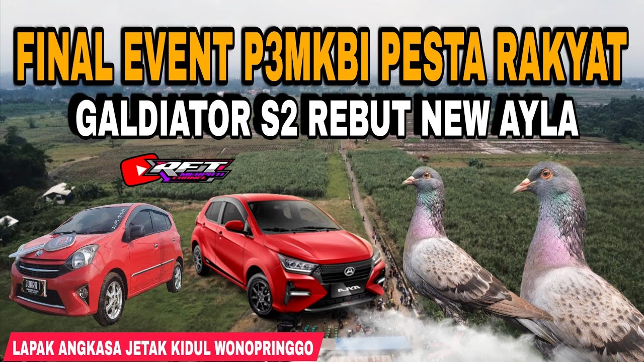 🔴FINAL SERU GALDIATOR S2 REBUT NEW AYLA DI EVENT P3MBKI LAPAK ANGKSA JETAK KIDUL 