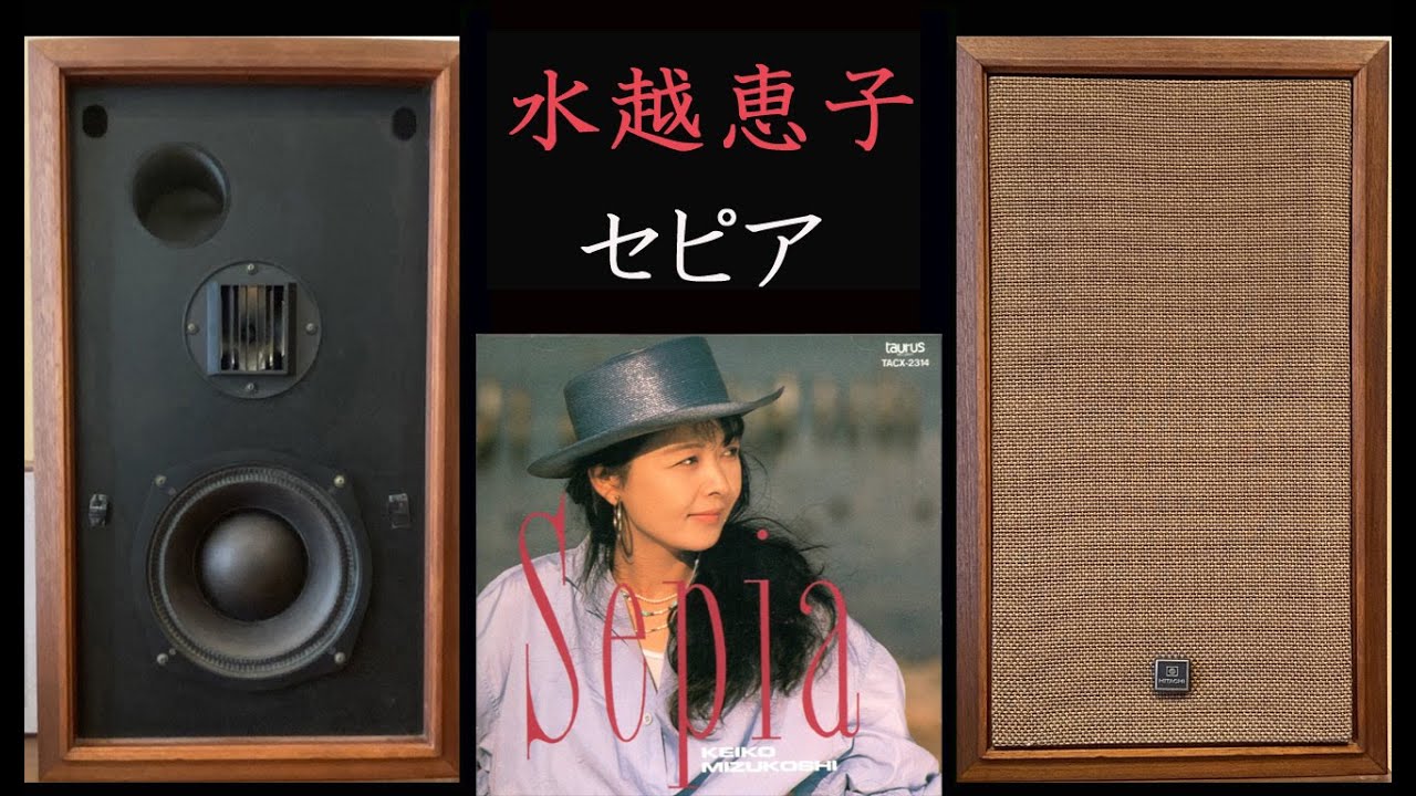 日立製作所　Lo D　HS 500　水越恵子　セピア