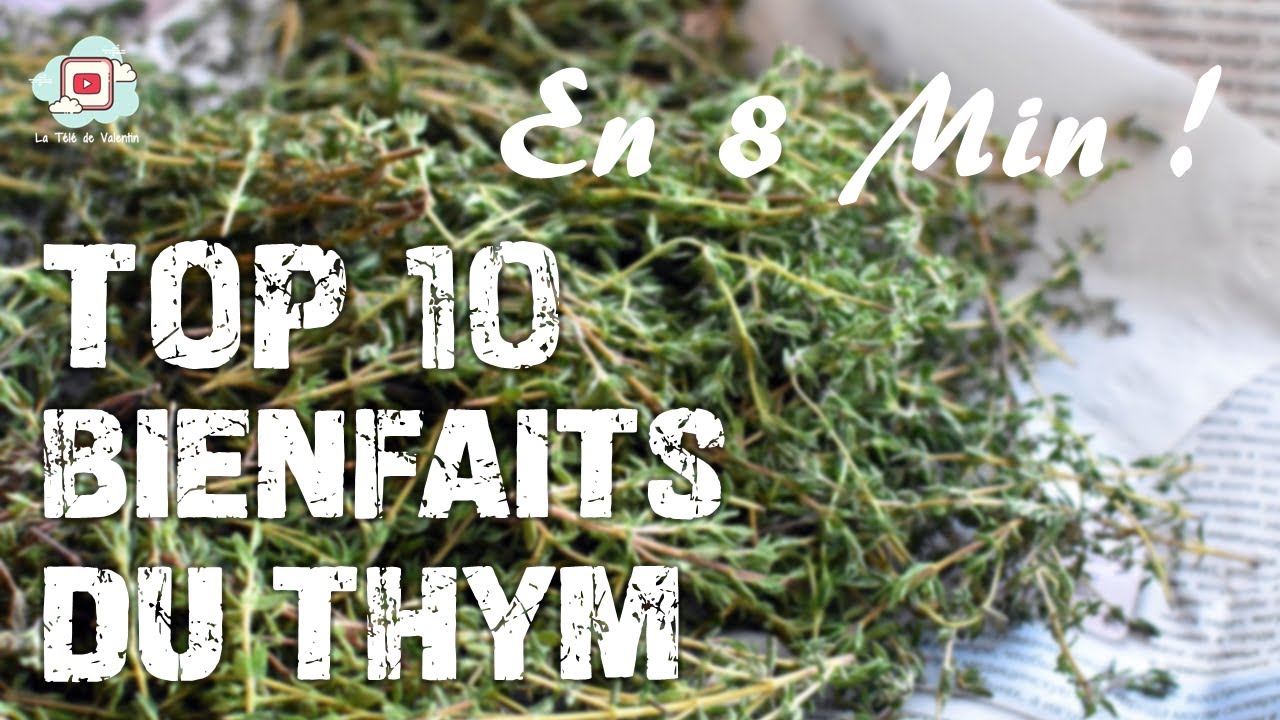 8 MIN POUR APPRENDRE LES 10 BIENFAITS DU THYM ! (anxiété, digestion, immunité)