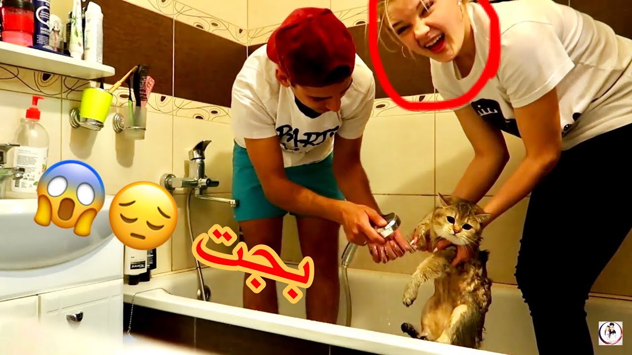 البزونه خرمشت كاتيا وطلع دم😱