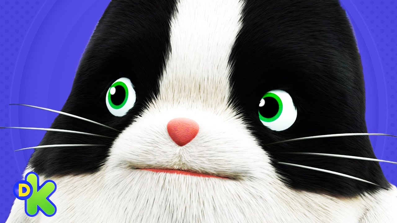 Binky aprende robótica com os animais do universo | Agente Binky Ao Resgate! | Discovery Kids Brasil