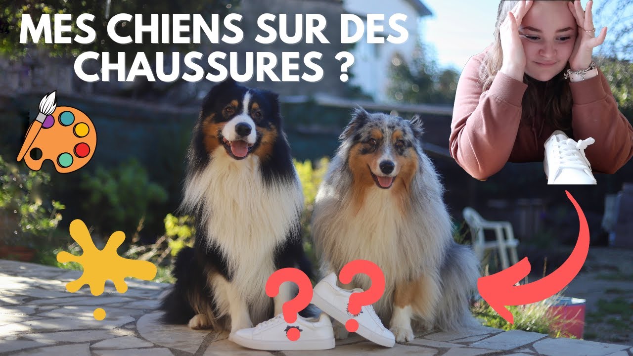 DIY : JE DESSINE MES CHIENS SUR DES CHAUSSURES ♡