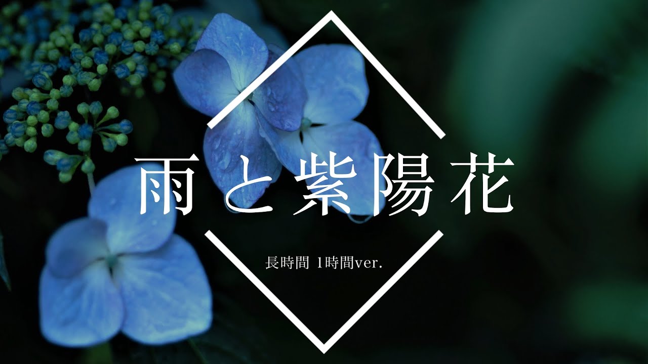 【フリーBGM】雨と紫陽花 1時間版【ピアノソロ/作業用BGM】