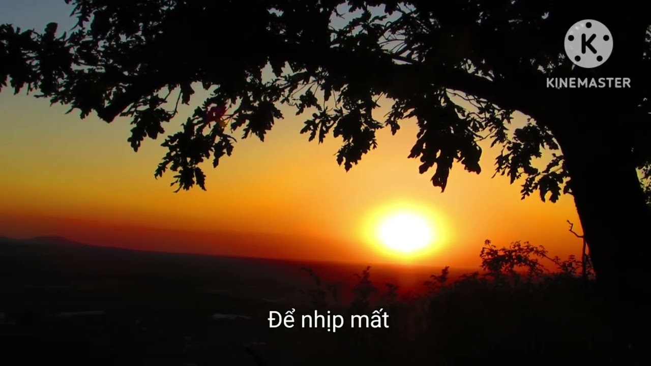 Áo trắng sân trường