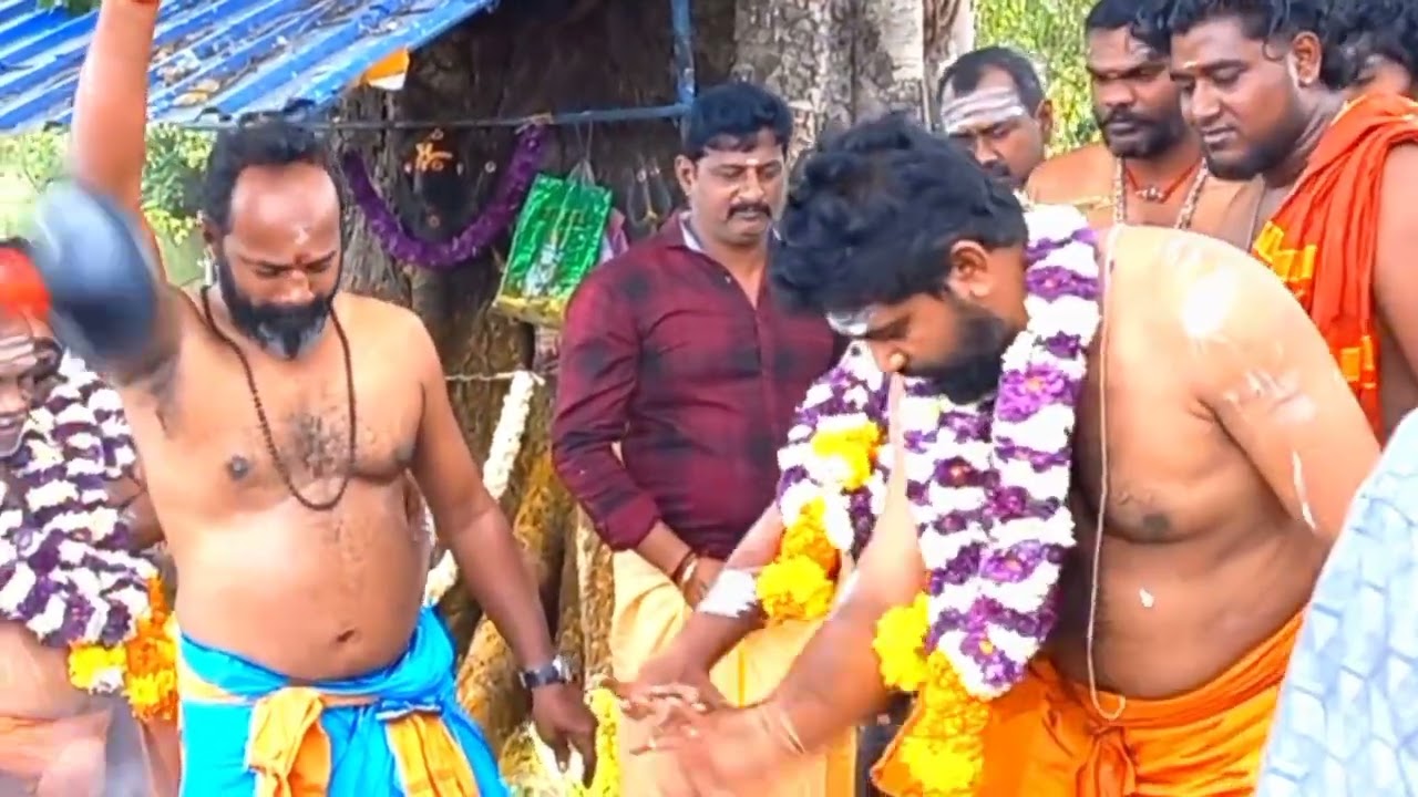வடசேரி வாணியர் சமுதாய ஊர்வகை சந்தானமாரியம்மன் திருக்கோவில் கார்த்திகை மாதம் விளக்கு பொலிவு 2025 