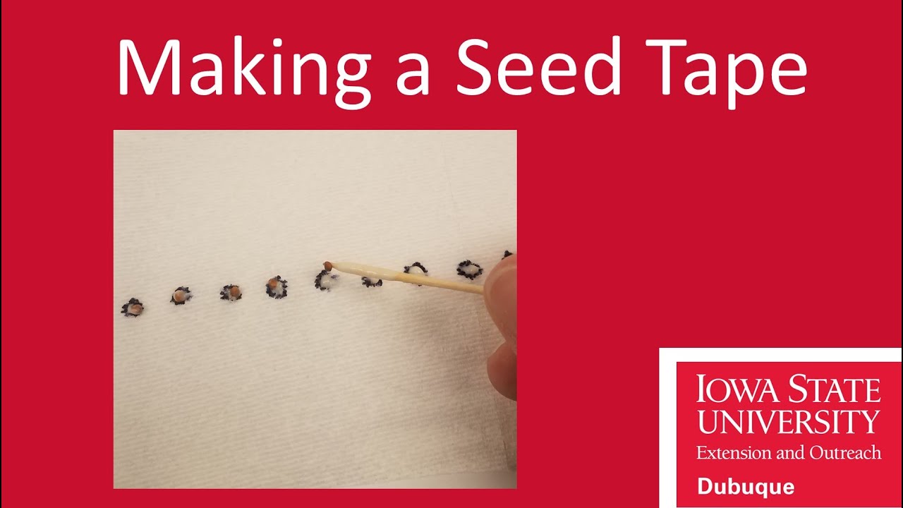 Making a Seed Tape