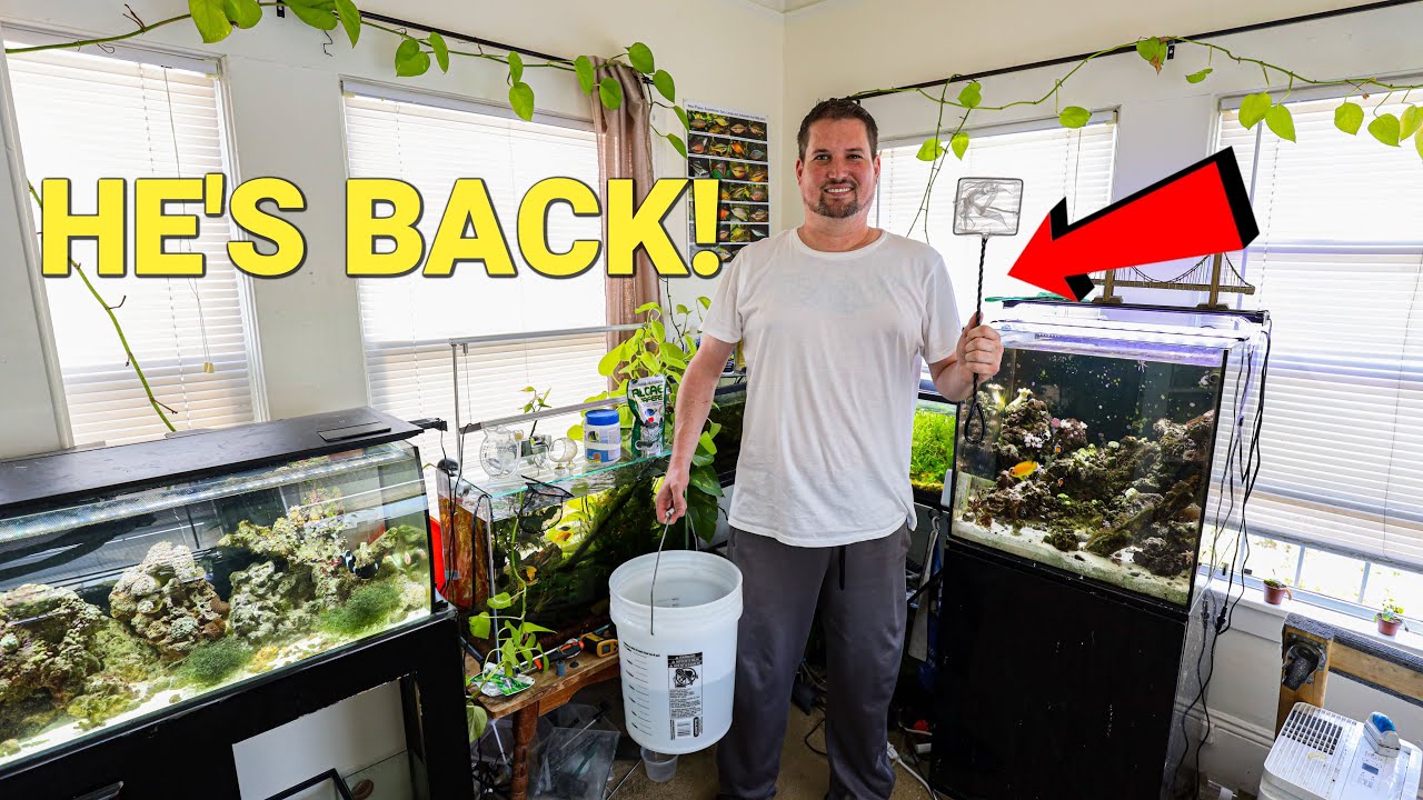 The Bedroom FISHROOM TOUR You've Been Waiting For!