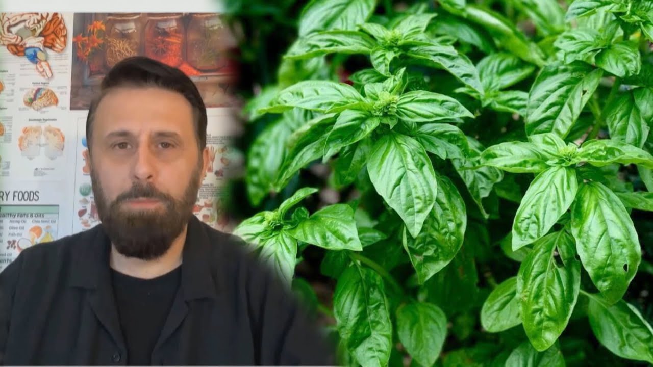 Nuk do ta besosh &ccedil;far&euml; i b&euml;n trupit BORZILOKU / Ja si ta p&euml;rdor&euml;sh p&euml;r sh&euml;rim
