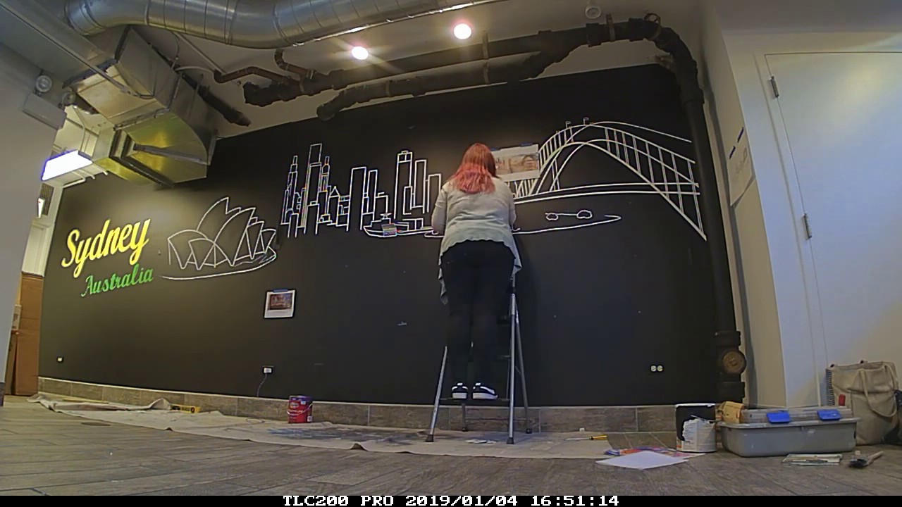 Black & White Mural painting of Sydney Australia - Line drawing