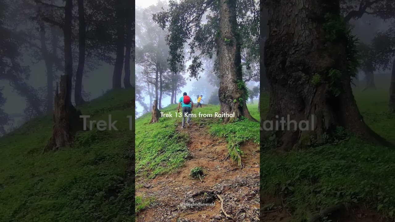 Dayara Bugyal Trek raithal .#dayarabugyal #winter