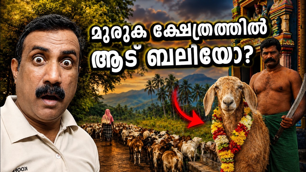 യാത്രയിൽ ഞെട്ടിച്ചത് ഇത്! | തേനി ഗ്രാമത്തിലെ വിചിത്ര ആടുജീവിതം
