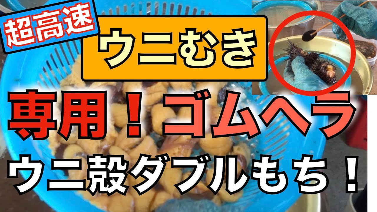 【高速ウニむき】専用ゴムヘラだから速い簡単！
