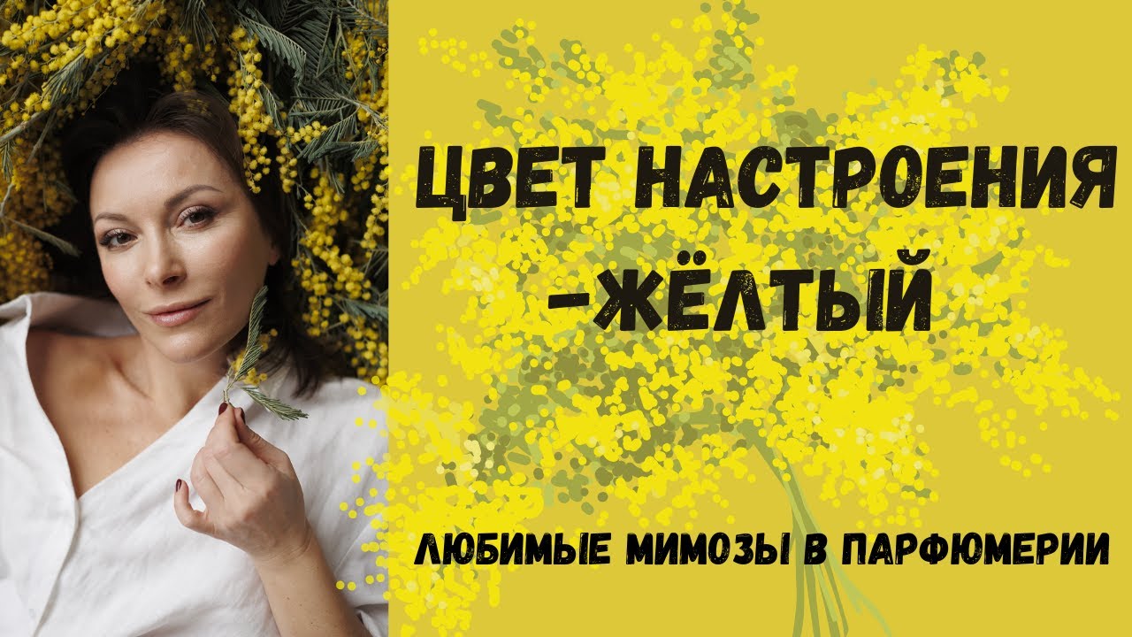 ЦВЕТ НАСТРОЕНИЯ ЖЁЛТЫЙ! ЛЮБИМЫЕ МИМОЗЫ В ПАРФЮМЕРИИ.#парфюмерия #парфюмерныйблогер #мимоза