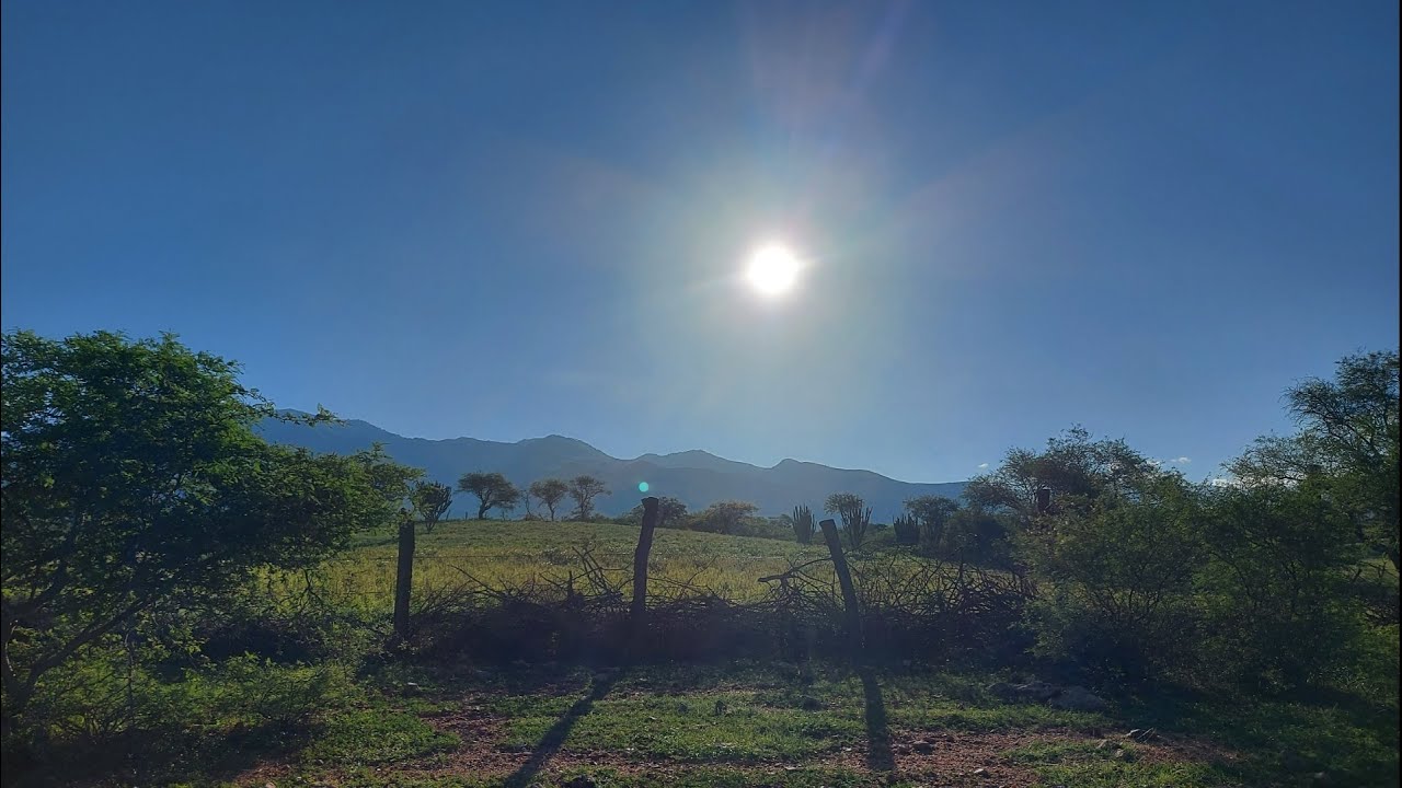 Santa Mar&iacute;a Tecomavaca | Recorriendo el monte despu&eacute;s de las primeras lluvias | Axel Cortes_Bio