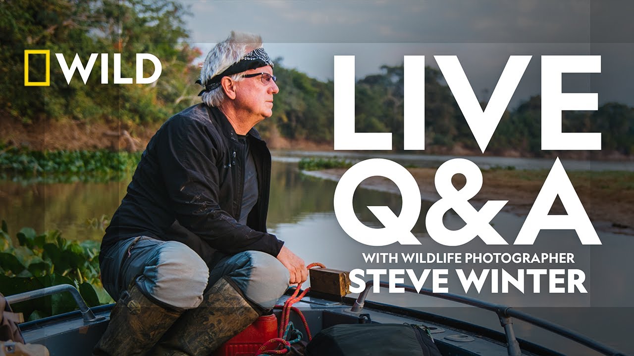 Steve Winter Live Q&A | Photographing Big Cats | National Geographic Wild UK