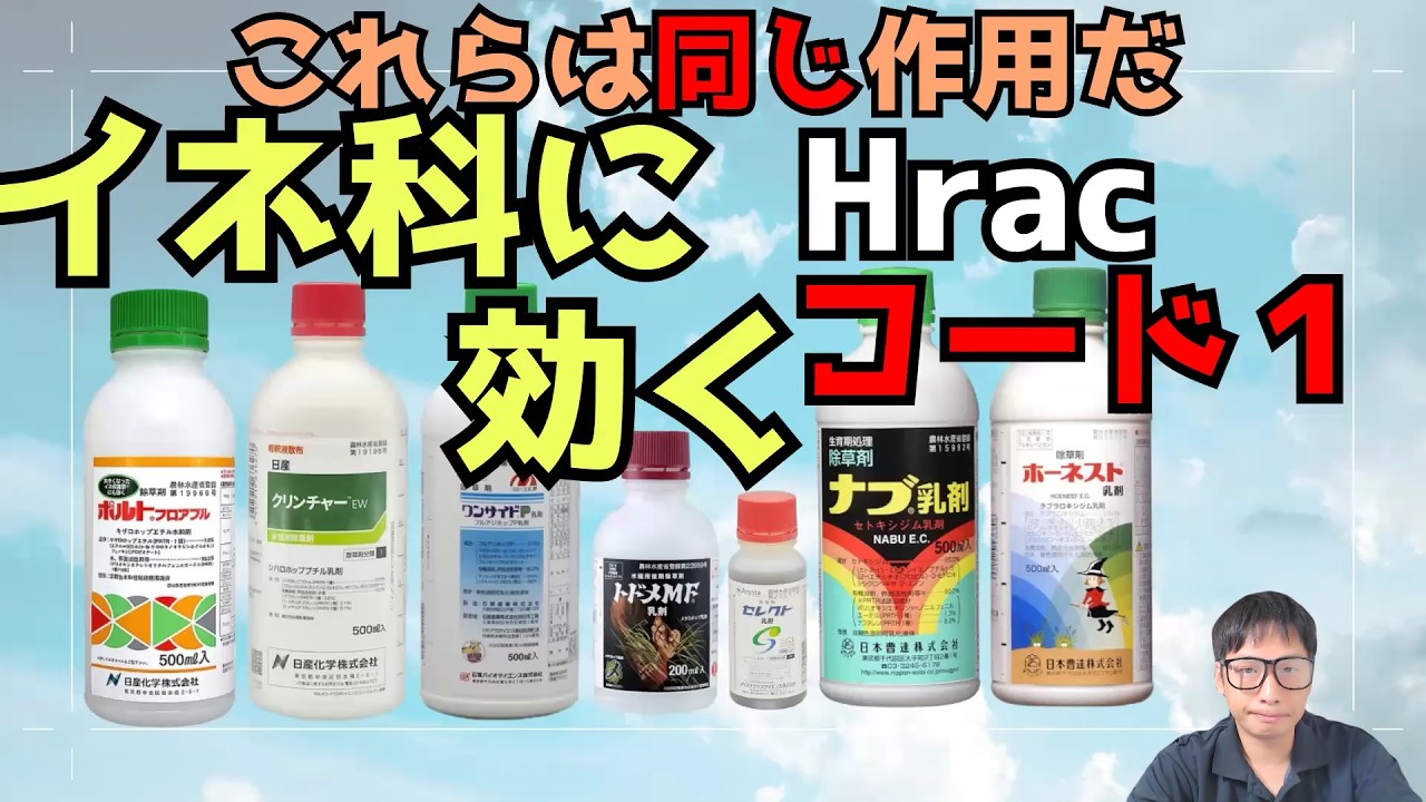 ポルト・クリンチャー・ナブ乳剤などイネ科雑草に効くHrac1の除草剤まとめ