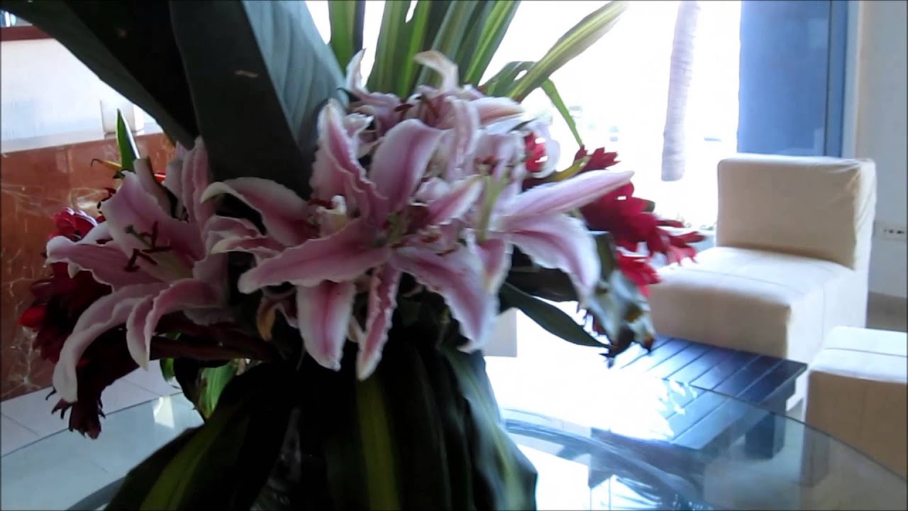 POWER SHOT sd780is (720 hd TEST)