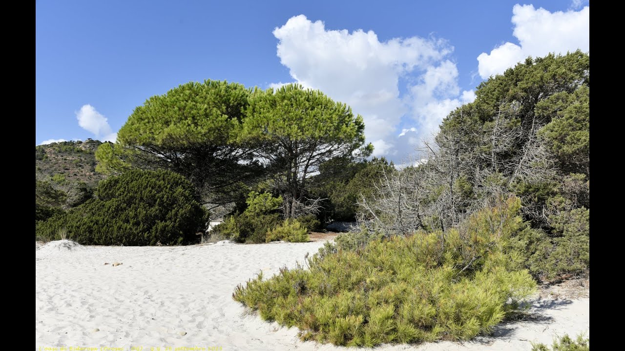 Le calette dell'oasi di Biderosa (Orosei - OG)