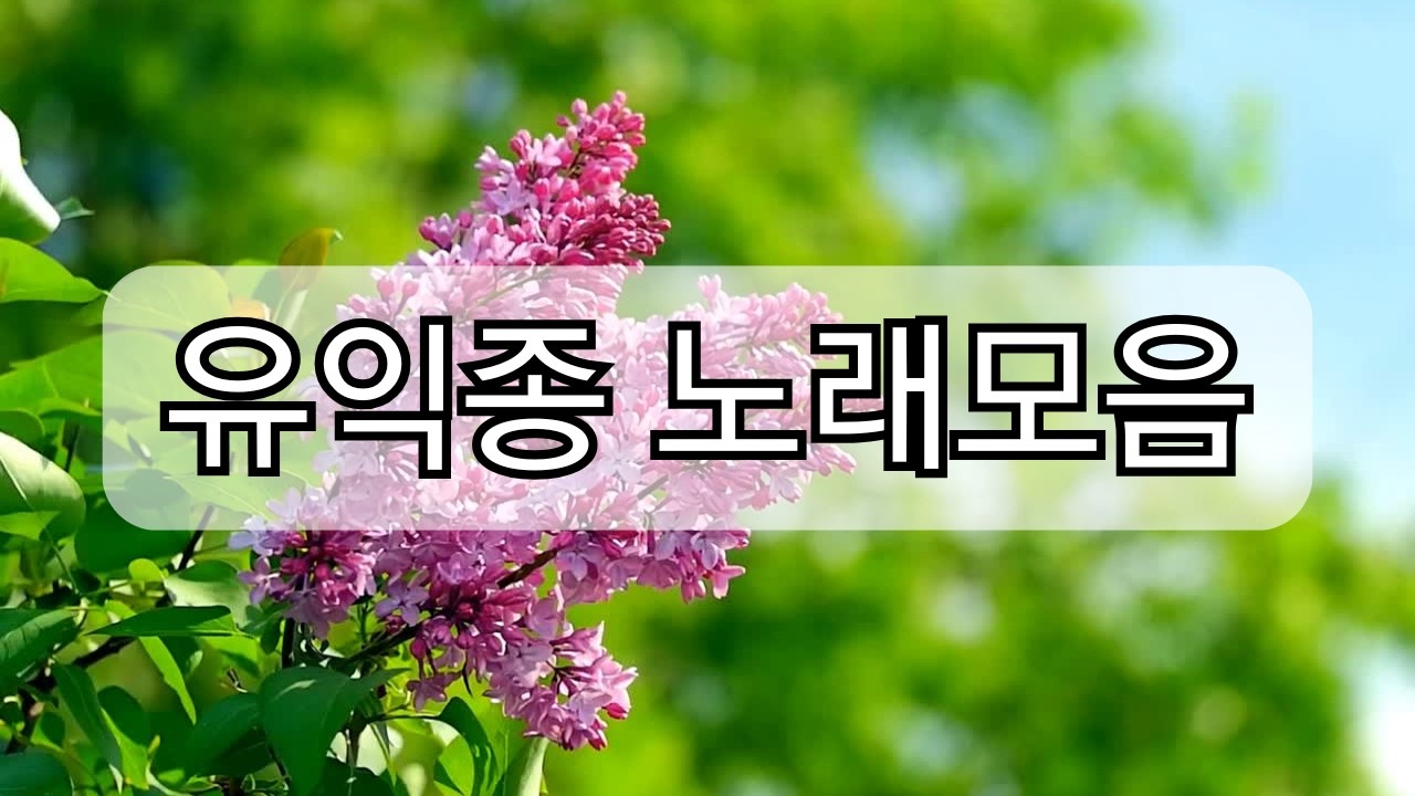유익종 노래모음 #유익종 #유익종노래 #추억소환 #노래 #음악