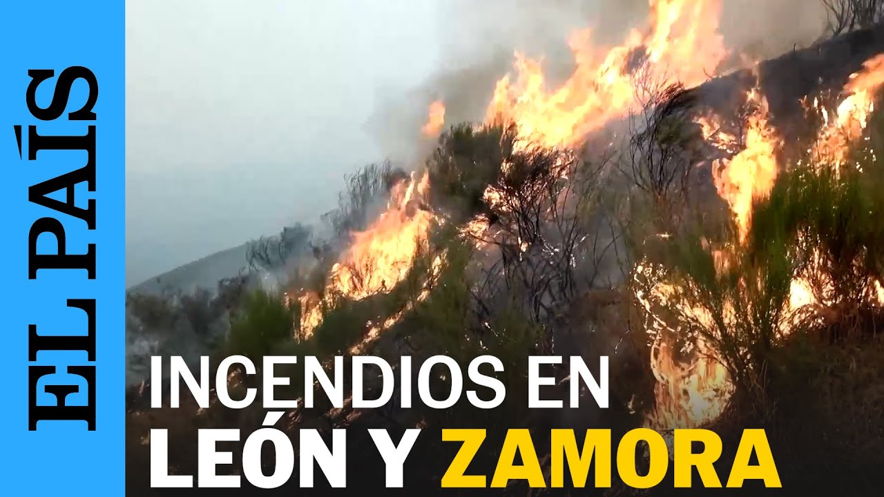 Los INCENDIOS EN CASTILLA Y LEÓN devoran miles de hectáreas: las imágenes de León y Zamora | EL PAÍS