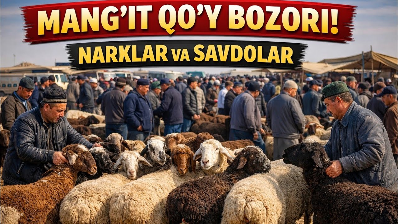 МАНҒИТ ҚЎЙ БОЗОРИ СЕМИЗ СЎЙГАНИ ЗЎР ҚЎЧҚОРЛРИ ТУШДИ ТЕЗДА КЎРАМИС GURLAN REC КАНАЛИГА ОБУНА БЎЛИНГ. 