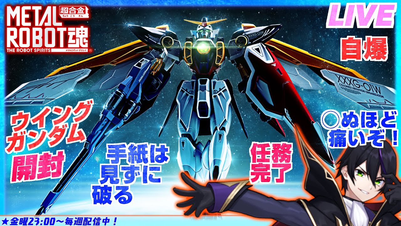 【メタルロボット魂】ウイングガンダム開封！バードモード変形！【新機動戦記ガンダムW】METALROBOT魂【#滝行】