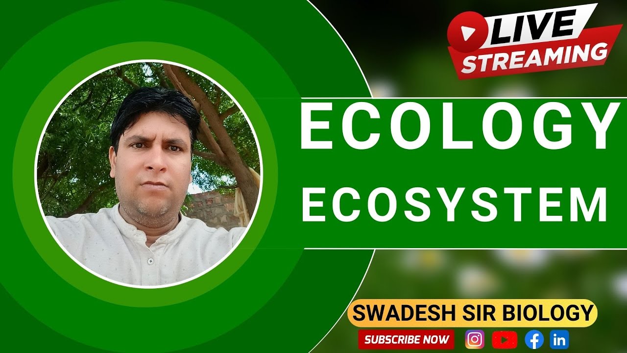 “Ecosystem Explained in One Shot | Ecology Class 12 Biology”