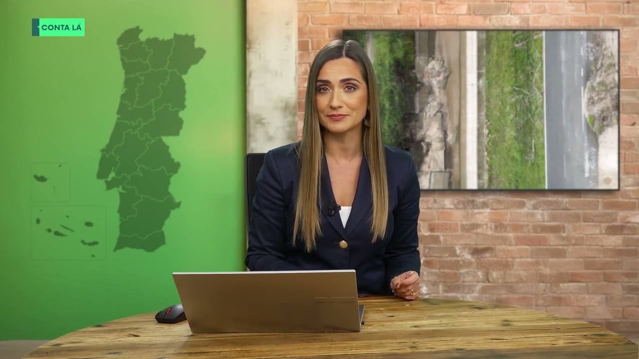 Prejuízos na agricultura ultrapassam mil milhões de euros