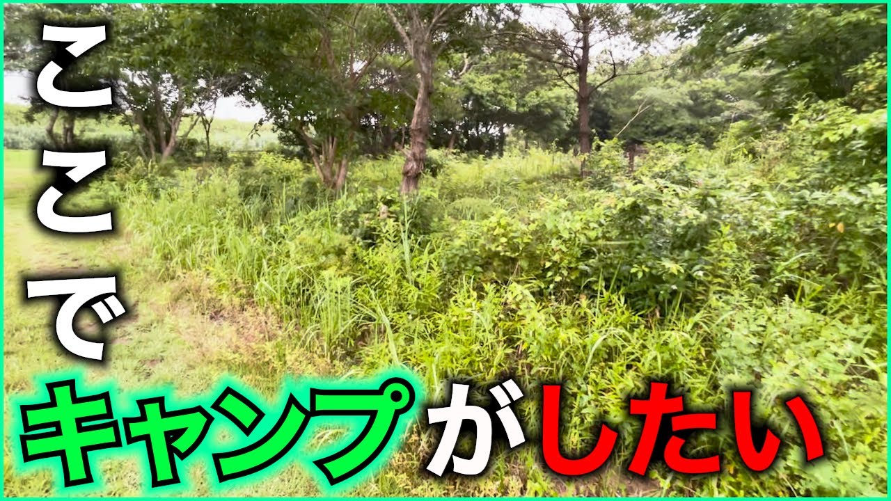 【紹介】ここでキャンプがしたいんだ私たちはとても【キャンプ】