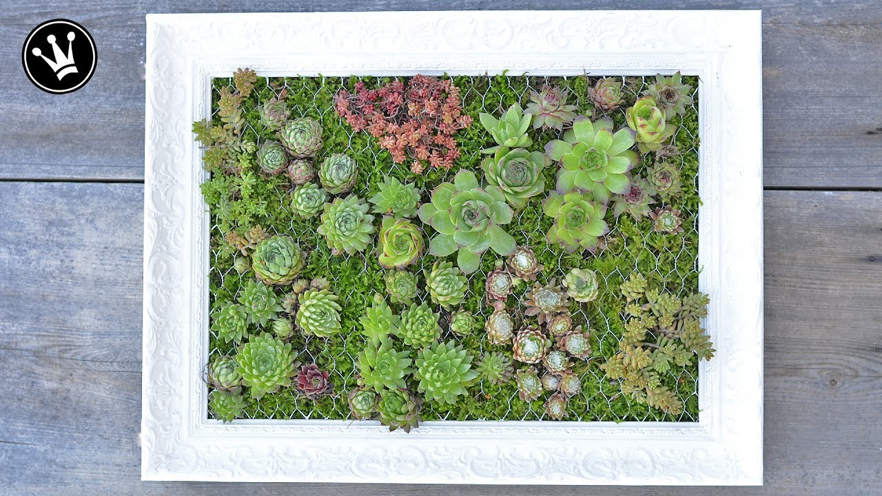 DIY - mit Sukkulenten bepflanzter Bilderrahmen  | Vertikaler Garten | Hängender Garten