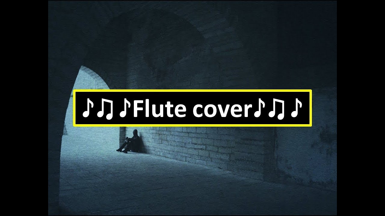 Alan Walker - Faded | Flute cover *Flauta con notas*