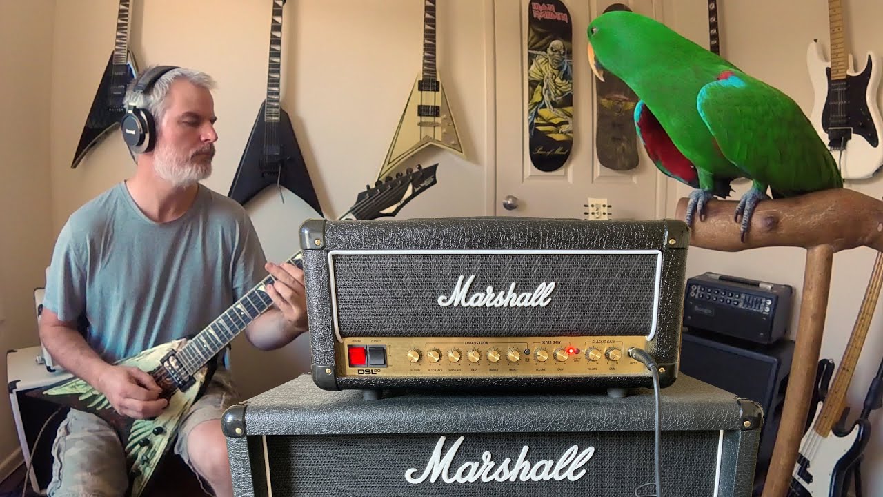 Marshall DSL20 - SHUT UP & RIFF!!!