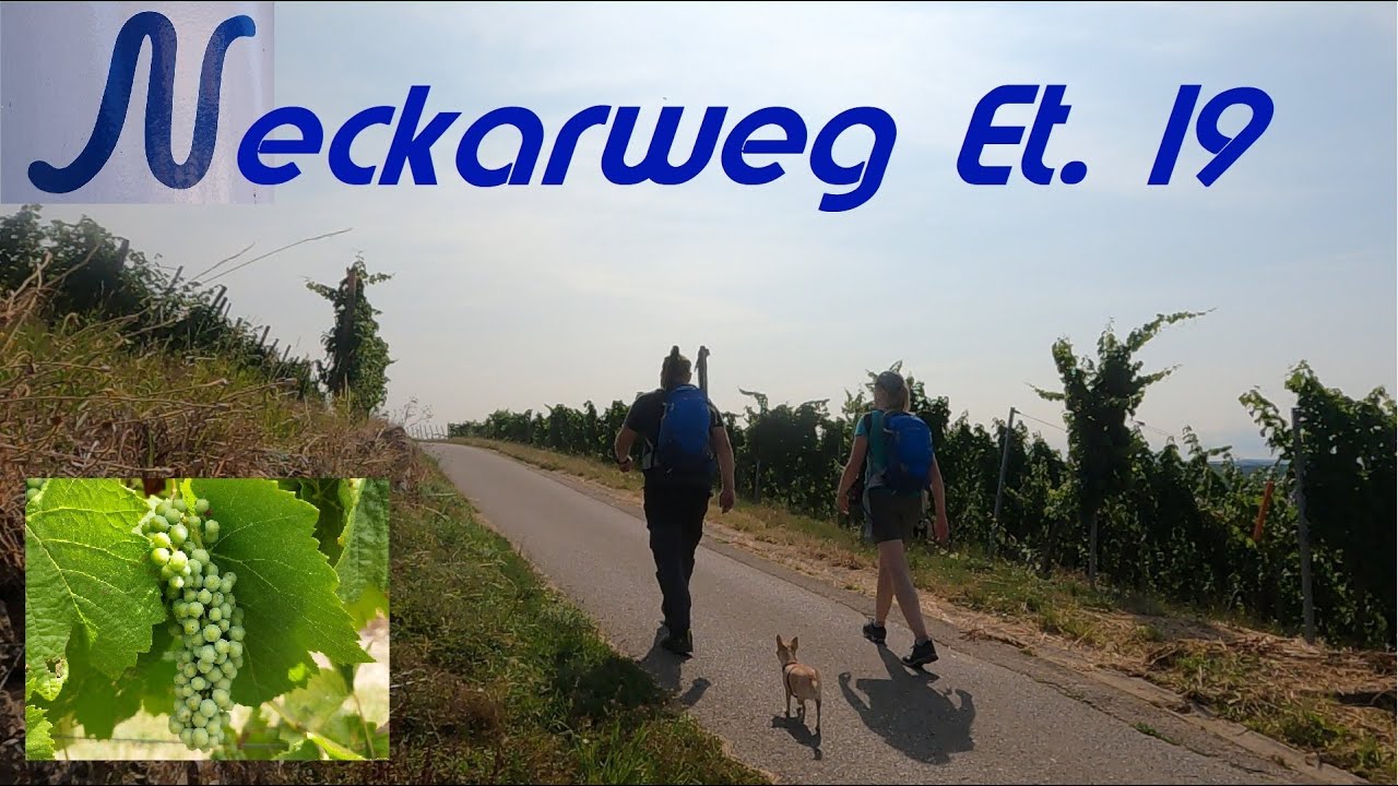 Neckarweg Etappe19 |  Großingersheim zum Fasanenhof