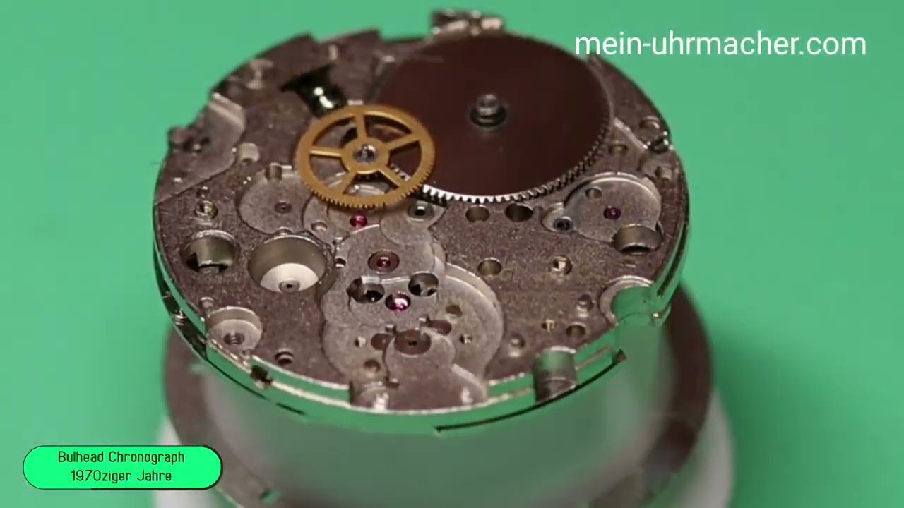 CITIZEN BULLHEAD 8110 AUTOMATIK
