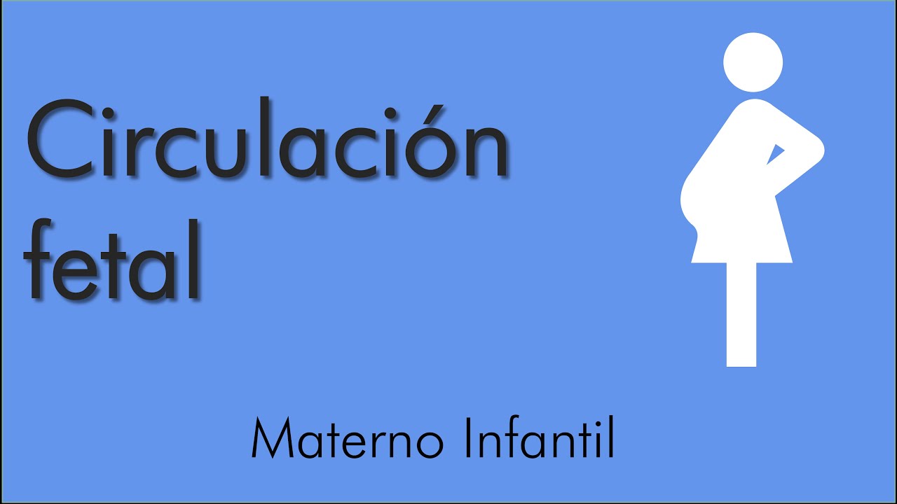 Circulación fetal | Materno infantil | video 10