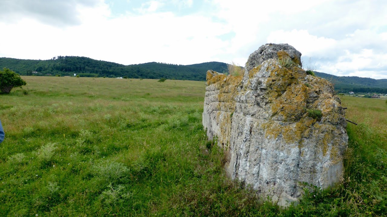 Bătălia de la Borta Dracului (3-16 iunie 1944) - 1 - Situația tactică (zona Târgu Neamț, Moldova)