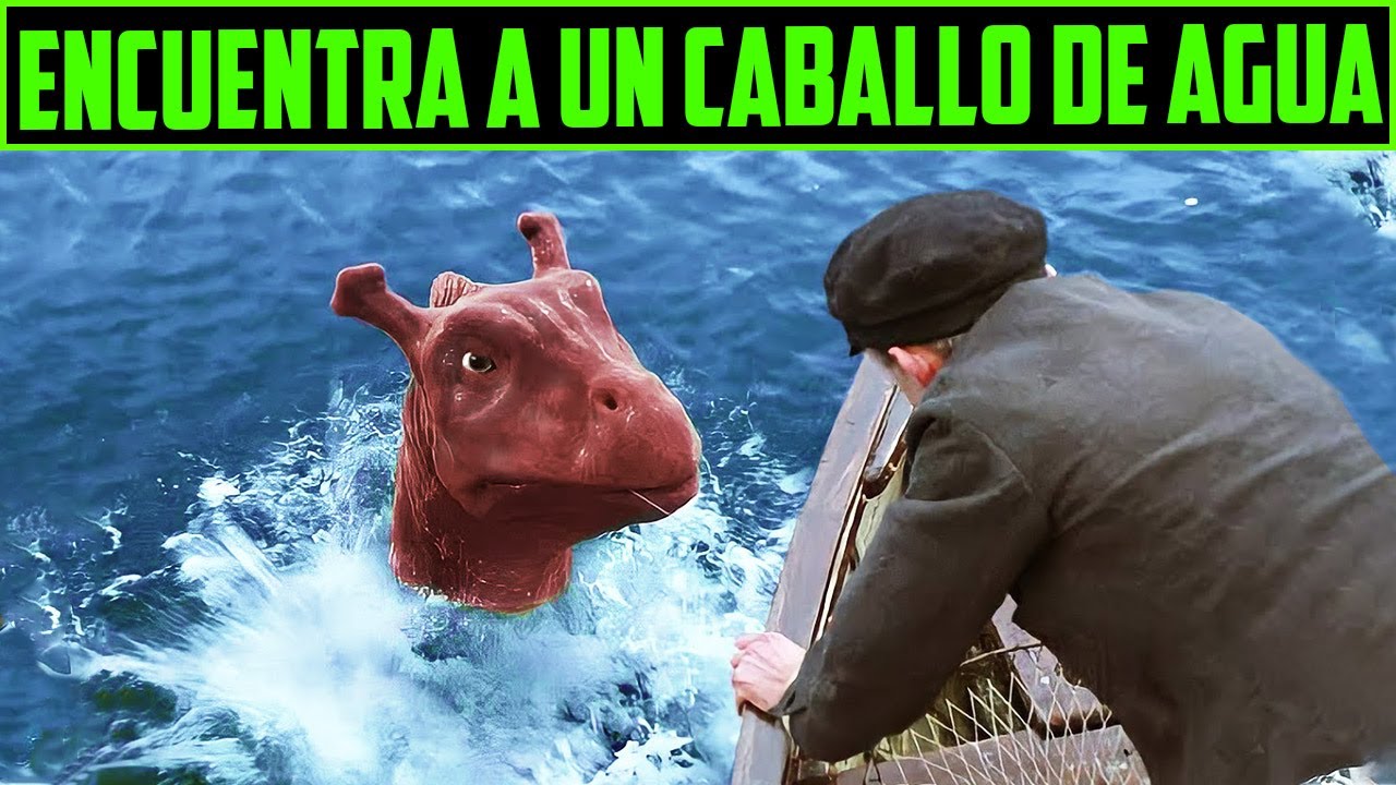 ENCUENTRAN A UN ANIMAL MITICO  - MI MASCOTA ES UN MOUNSTRO  RESUMEN  12 MINUTOS