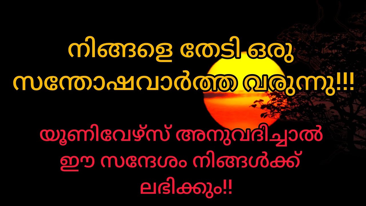 നിങ്ങളുടെ ഇപ്പോഴത്തെ പ്രശ്നത്തിനുള്ള പരിഹാരം പ്രപഞ്ചം പറയുന്നു #tarot 