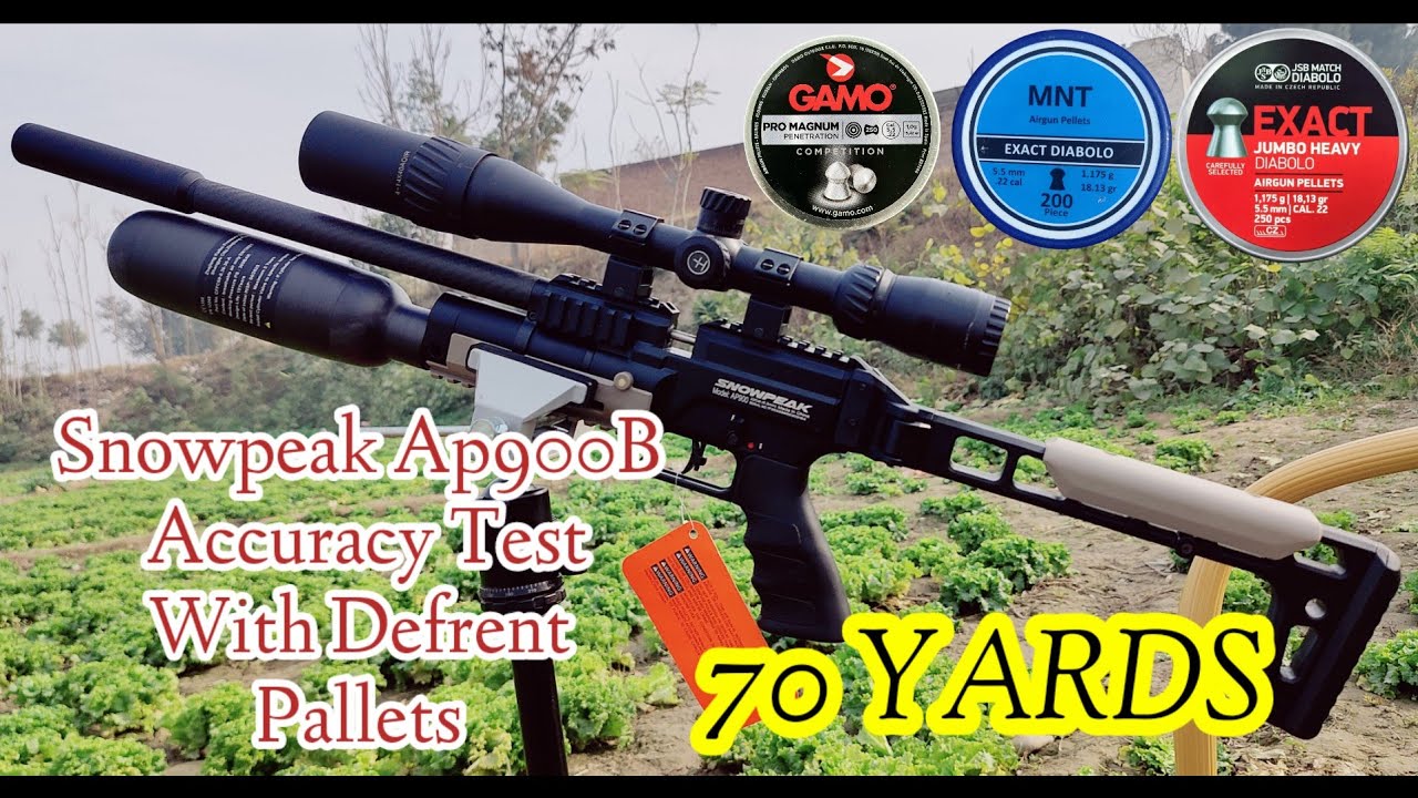 Snowpeak Ap900B Air Gun Accuracy Test From 70 Yards With Defrent Pallet 