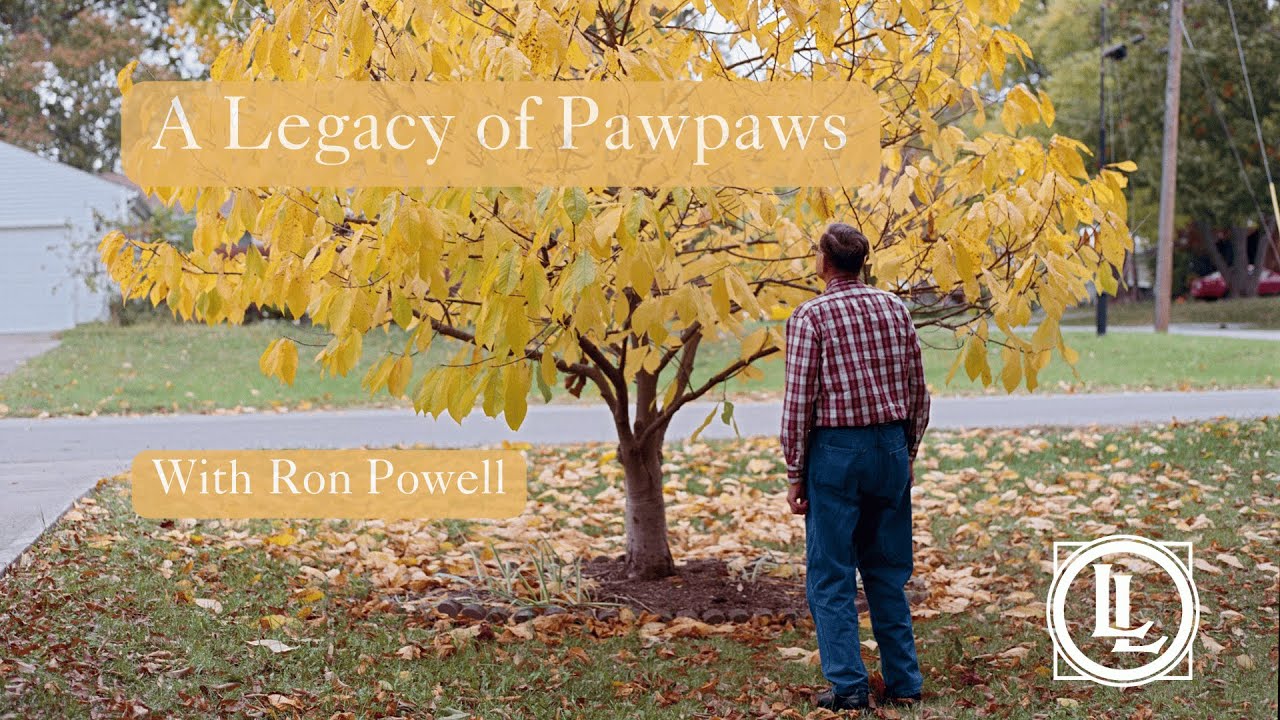 A Legacy of Pawpaws with Ron Powell