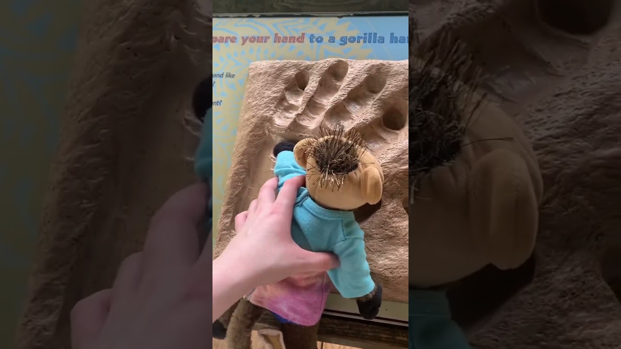 Going to the Louisville Zoo. Watch till the end! 😂🤣