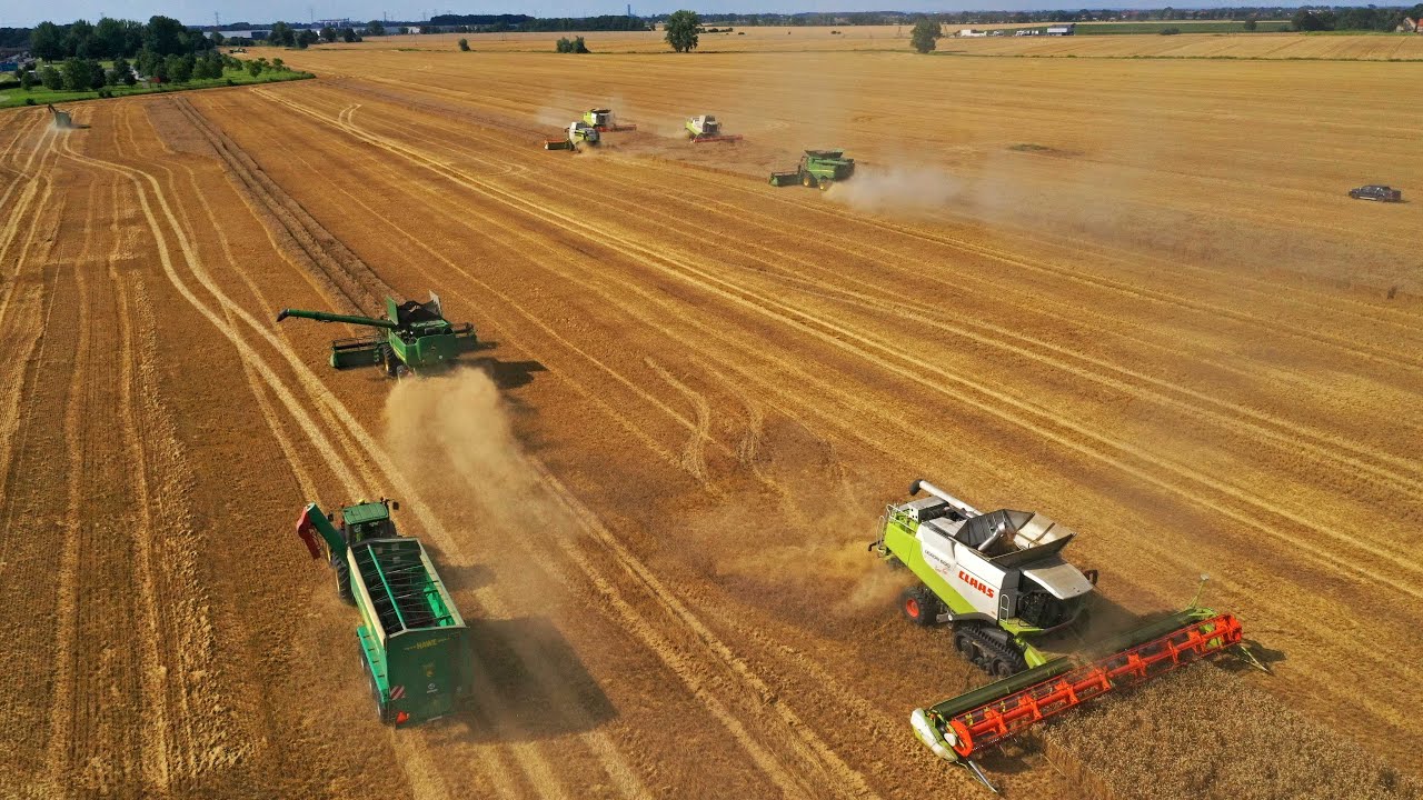 BIG harvest in Poland | Kombinat Rolny Kietrz & Inwestrol Zorawina  | 11x Claas, NH, JD combines