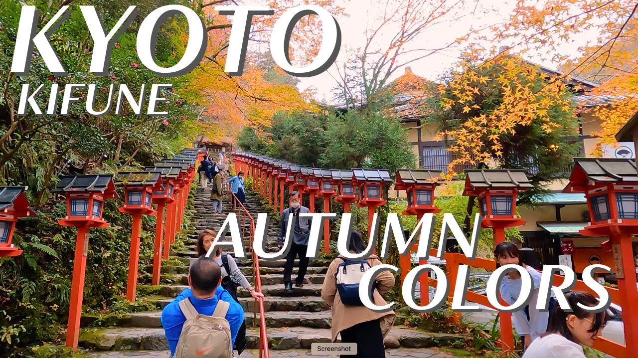 Guide to KIFUNE Shrine's Autumn Magic: MAPLE TREE TUNNEL and Serene Beauty - KYOTO, Japan
