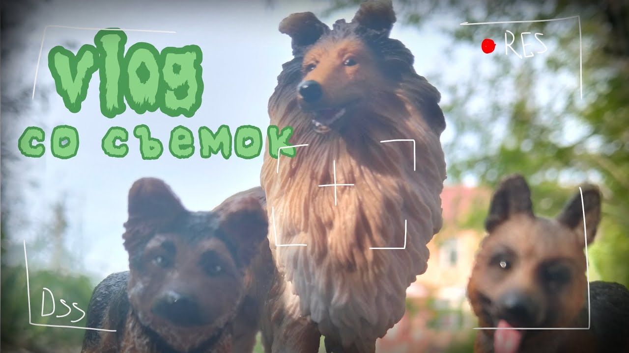 Schleich vlog: съемка шляйх сериала в лесу🦎