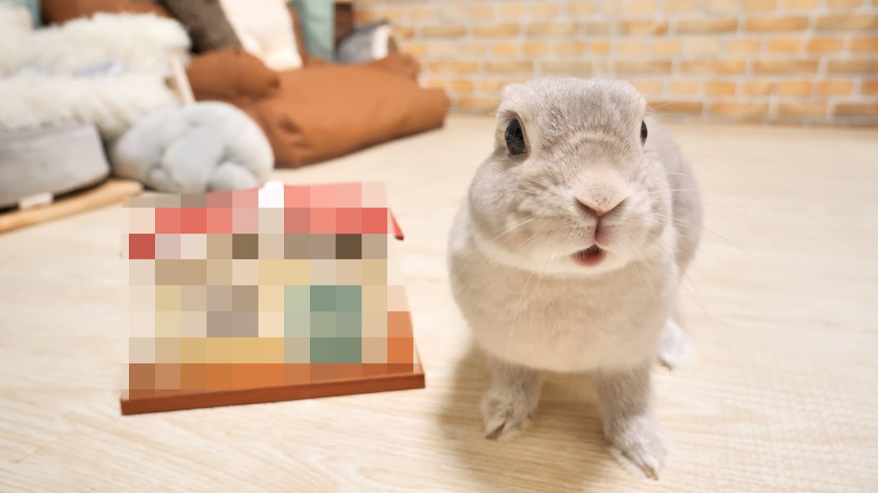 視聴者さんからの贈り物にの中からハンドメイドとは思えないとんでもないクオリティのものが出てきた...