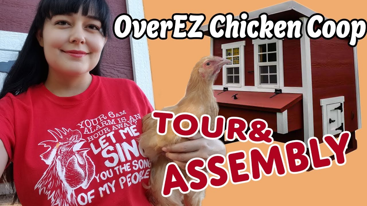 OverEZ Chicken Coop Tour | My Hens Have a New House!