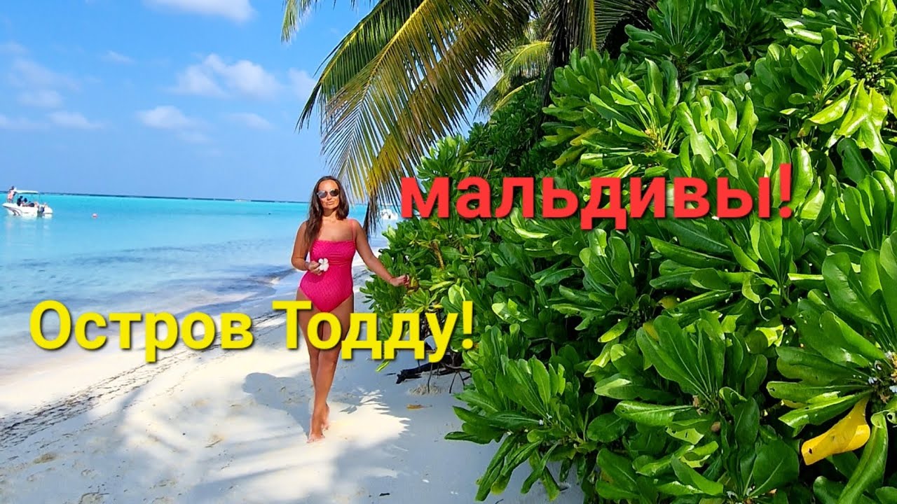 Снорклинг 🤿 с черепахой🐢. Остров ТОДДУ! THODDOO!