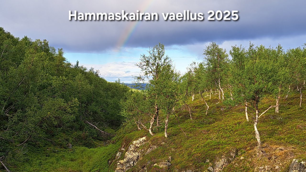Isä ja pojat Hammastunturin erämaassa | Suivakko-Kuoppajärvi | elokuu 2025