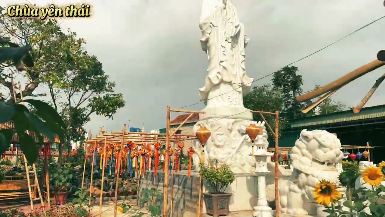 Chùa yên thái đón chào năm mới 2026